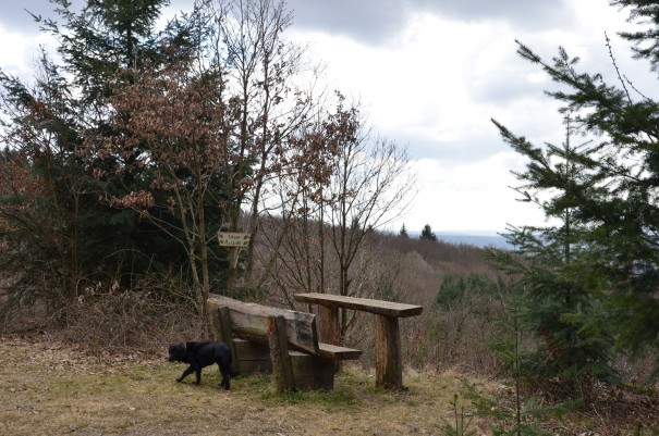 Überall finden sich wunderschöne Aussichten, praktischerweise gleich mit Rastgelegenheit - Genuss pur auf dem Pfälzer Höhenweg ©entdecker-greise.de