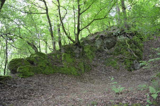 Die Wanderung hat gerade erst begonnen und doch bin ich schon wieder mitten drin in all der Schönheit des Westerwaldes #TTwandern auf dem Westerwald Steig ©entdecker-greise.de