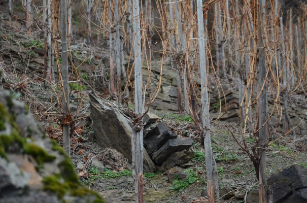 Ahrtalimpressionen © entdecker-greise.de