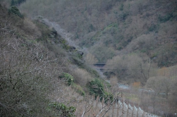 Ausblick auf die Ahrbrücke © entdecker-greise.de