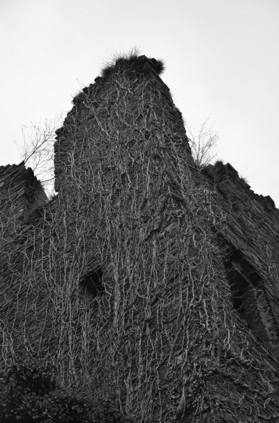 "Naturgeschichte" © entdecker-greise.de