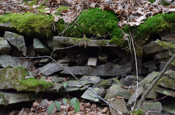 Steinbefestigungen auf dem Rotweinwanderweg © entdecker-greise.de