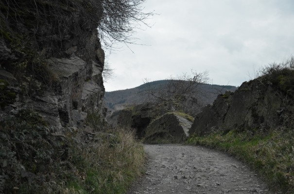 Verschlungene Pfade auf dem Rotweinwanderweg © entdecker-greise.de