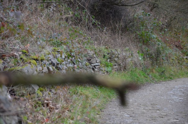 Wege hoch über dem Ahrtal © entdecker-greise.de