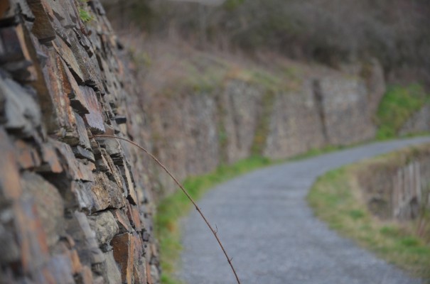Abenteuer Rotweinwanderweg © entdecker-greise.de 