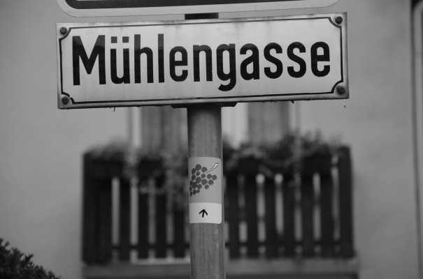 Viele Wege führen zum Rotweinwanderweg © entdecker-greise.de