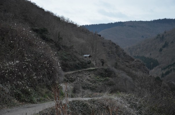 Weinberge Ahrtal © entdecker-greise.de