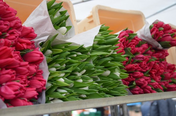 Blumenmarkt auf dem Wochenmarkt Neukölln ©entdecker-greise.de