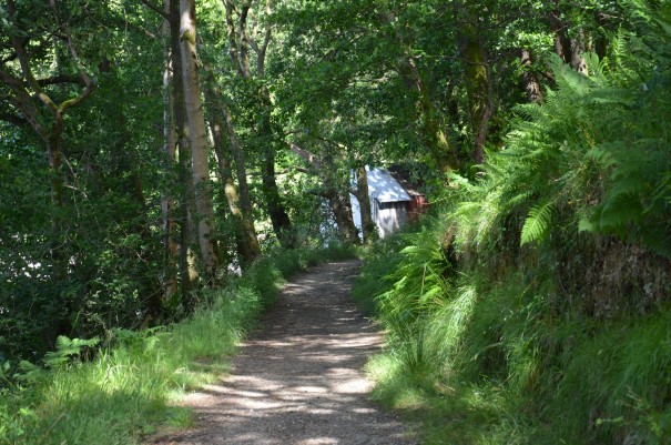 Der West Highland Way - ein Paradies für Backpacker ©entdecker-greise.de