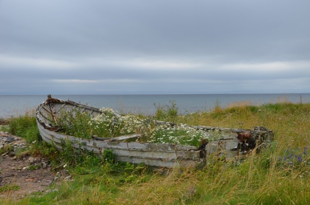 Einfach mal die Seele baumeln lassen - Schottlands Küste bietet viel Raum dafür. ©entdecker-greise.de
