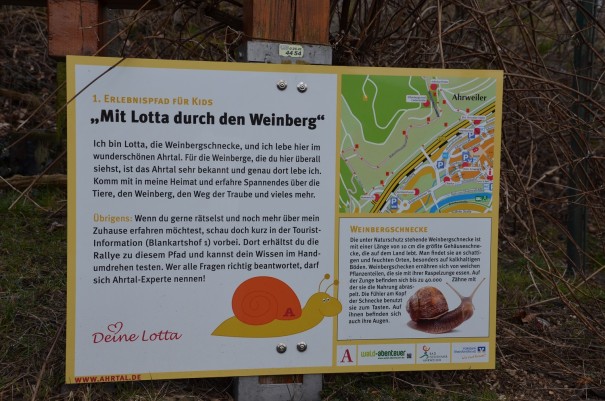 Der rotweinwanderweg als Erlebnispfad für Kinder - begleitet durch die Weinbergschnecke Lotta ©entdecker-greise.de