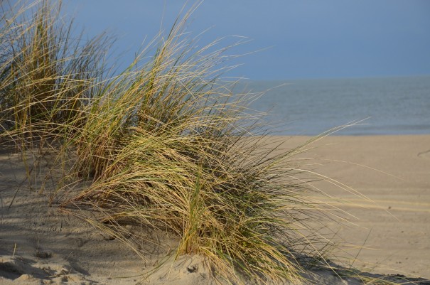 Endlich wieder Sonne, Strand und Meer und das Ende Januar in Cadzand ©entdecker-greise.de