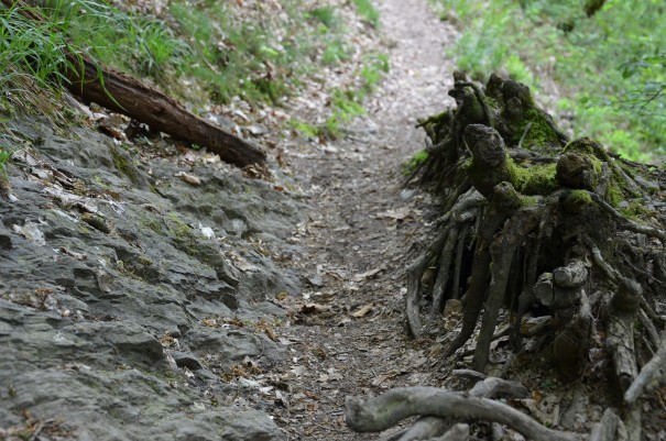 Auf dieser Etappe ist Trittsicherheit gefragt #TTwandern Westerwald Steig ©entdecker-greise.de