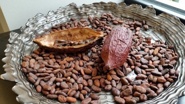 Edelste Kakaobohnen fair gehandelt, für die Tiroler Edle ©entdecker-greise.de