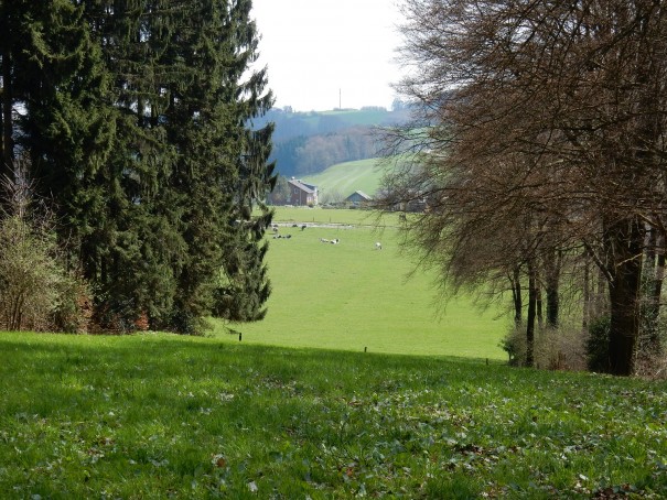 Idyllische Aussichten von der Wasserlandroute im Bergischen Land. ©entdecker-greise.de