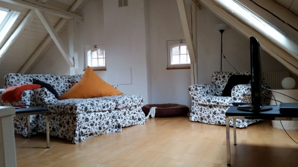 Den Abend im gemütliche Wohnzimmer unter dem Dachgiebel genießen! ©www.entdecker-greise.de