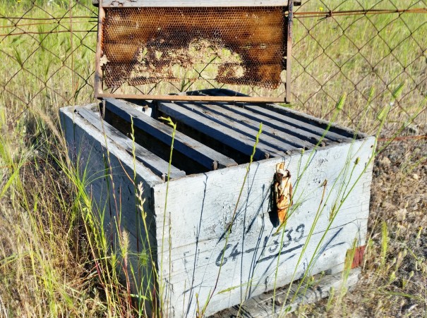 Hin und wieder entdeckt man bei der Wanderung zum Petros Felsen ausrangierte Bienenkästen, wie diesen hier. ©www.entdecker-greise.de #corfelios